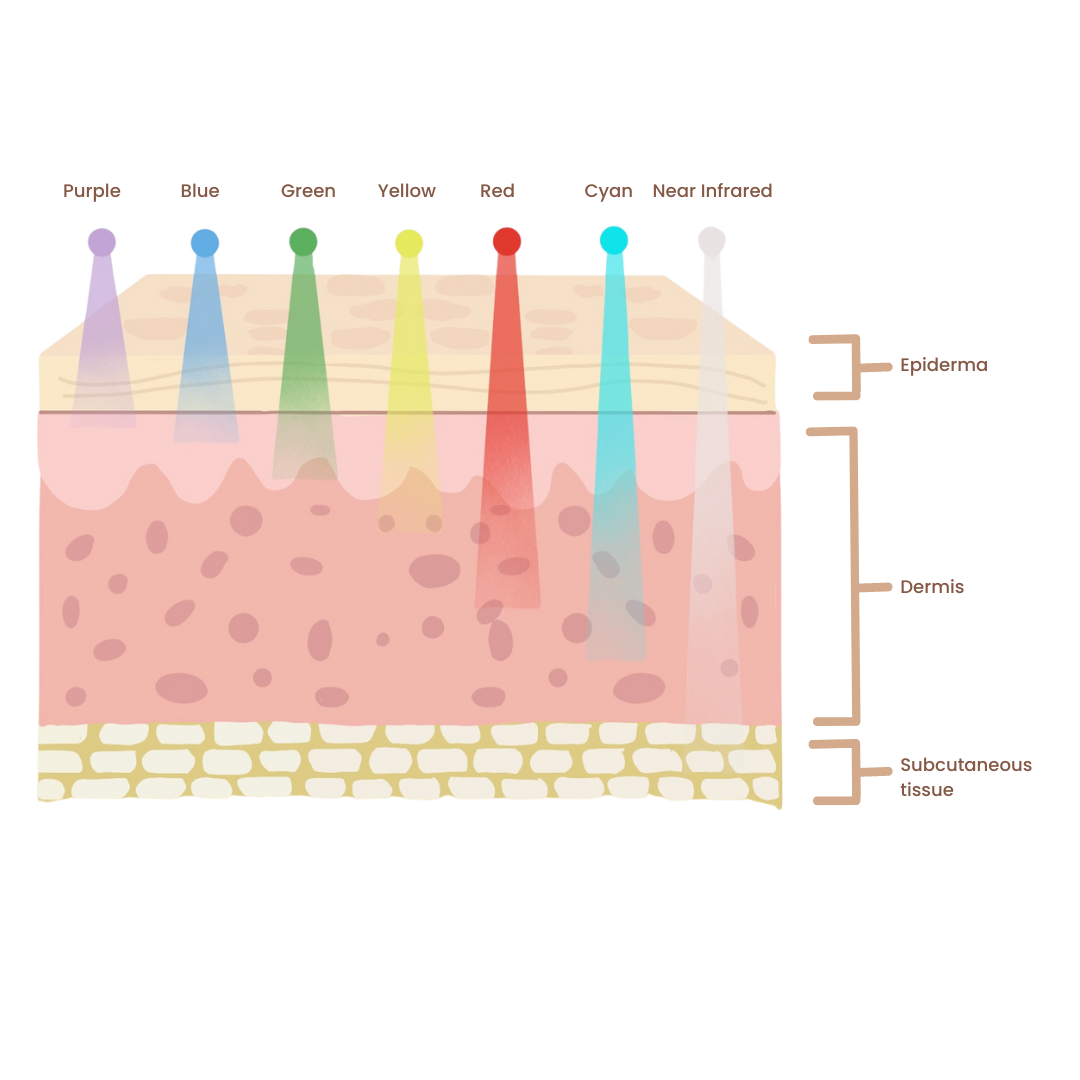 Skincare_2.png